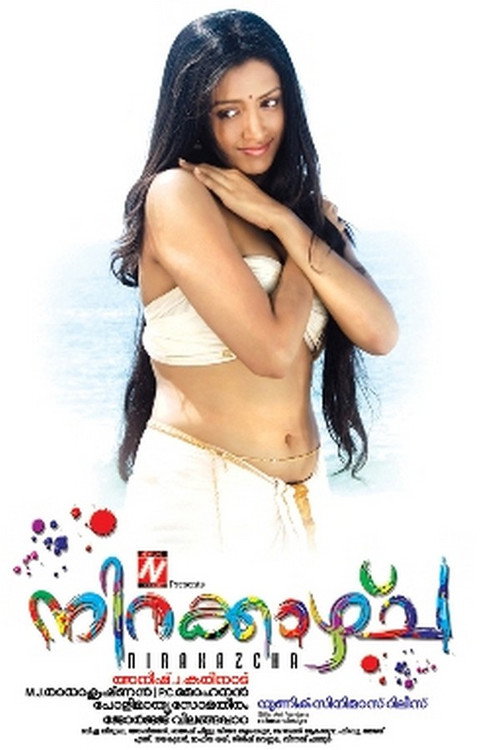 Movie poster for Nirakazhcha (2010)