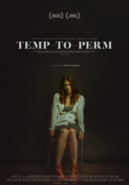 Movie poster for Temp-To-Perm (2017)
