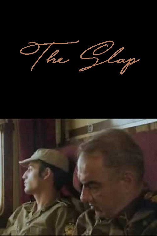 Movie poster for The Slap (2007)