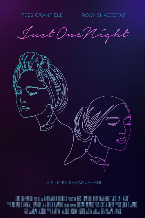Movie poster for Just One Night (2019)