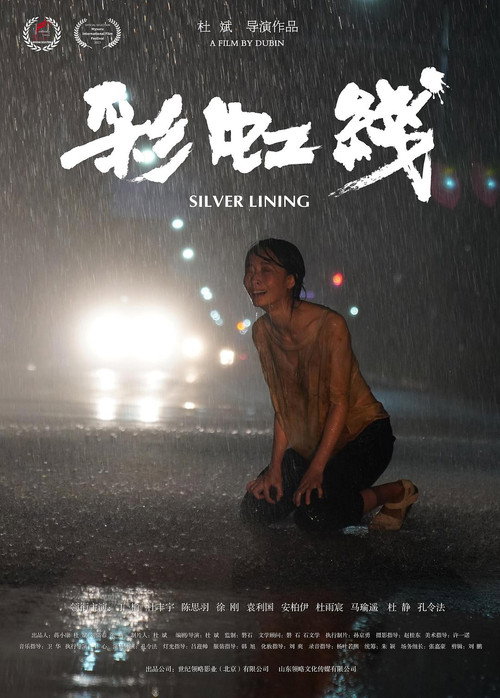 Movie poster for Silver Lining (2024)