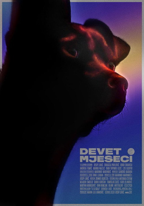 Movie poster for Nine Months (2020)