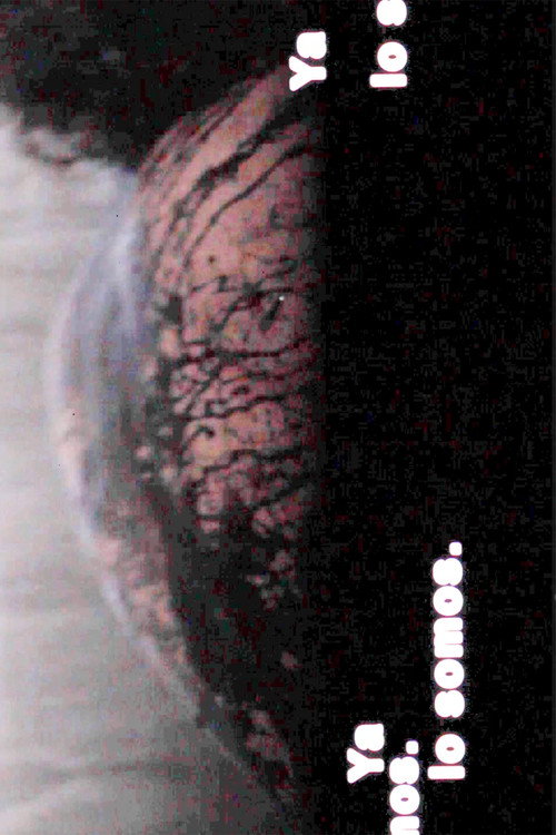 Movie poster for Ya lo somos (2023)