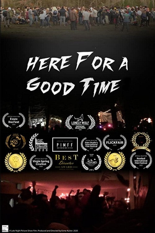 Movie poster for Here For A Good Time (2020)