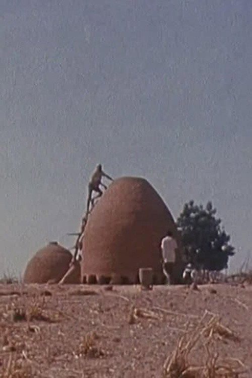 Movie poster for Bawra (1977)