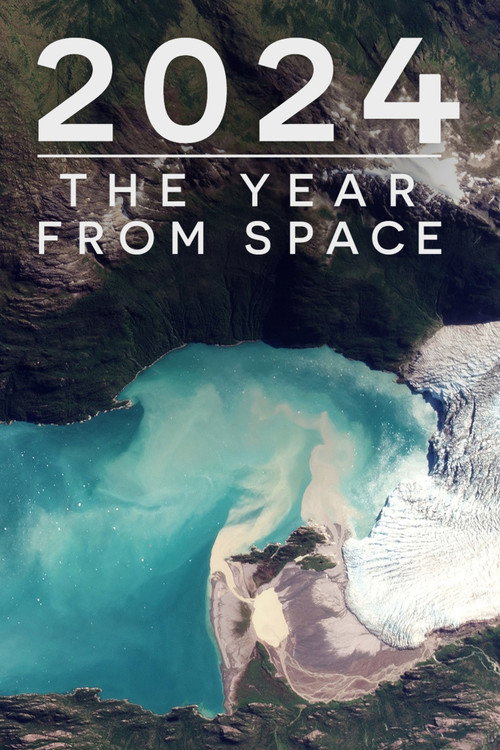 Movie poster for 2024: The Year From Space (2024)