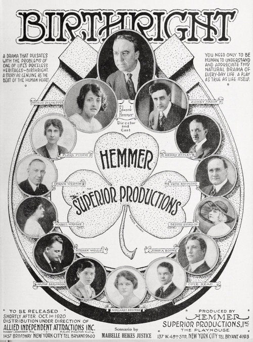Movie poster for Birthright (1920)