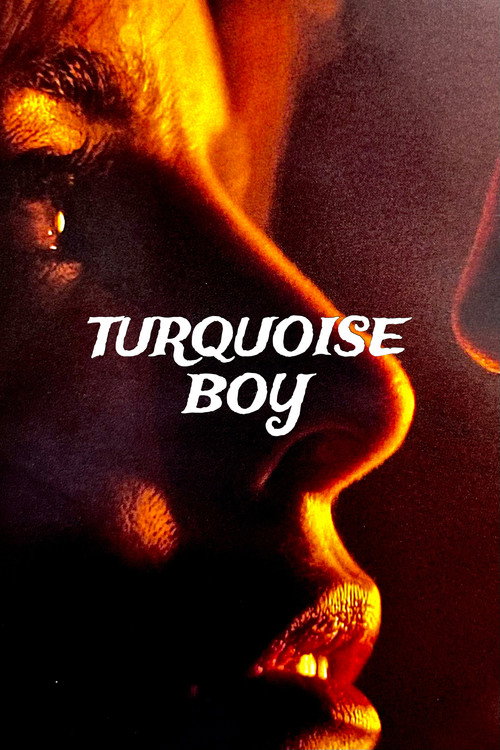 Movie poster for Turquoise Boy (2014)