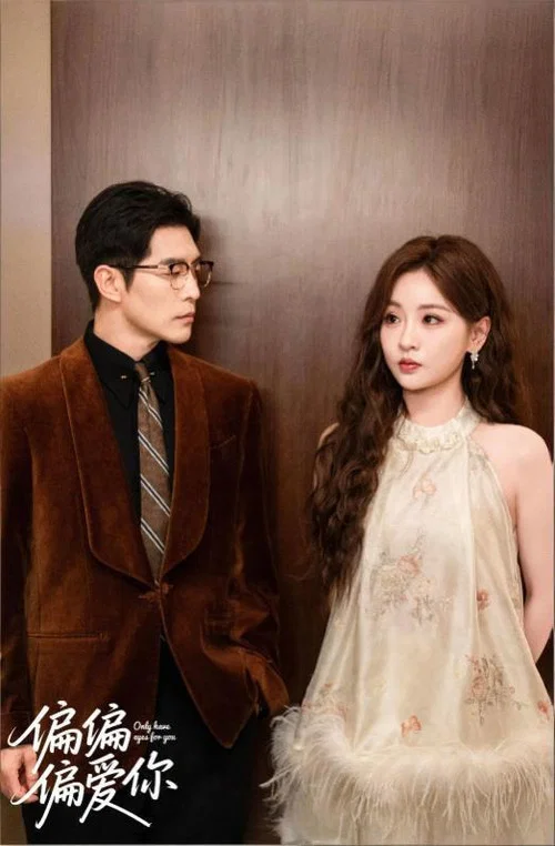 偏偏偏爱你 poster