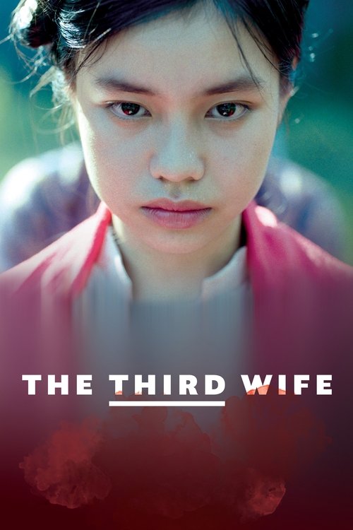 Movie poster for The Third Wife (2019)
