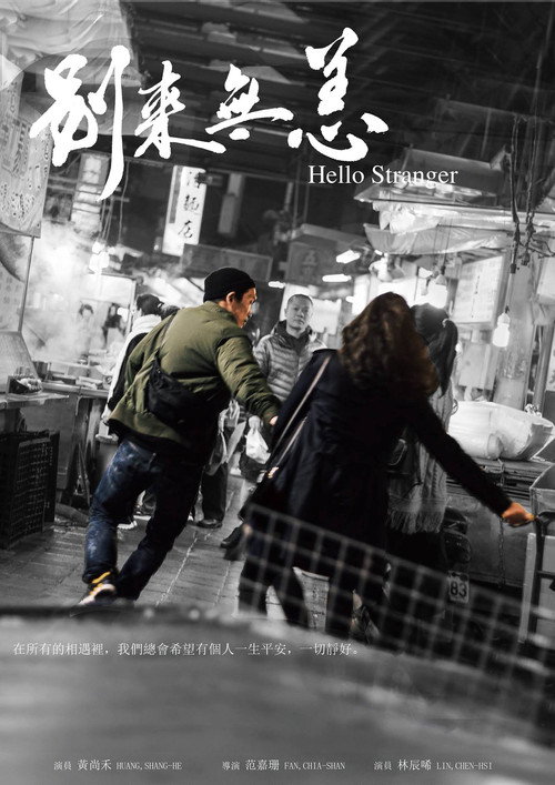 Movie poster for Hello Stranger (2018)