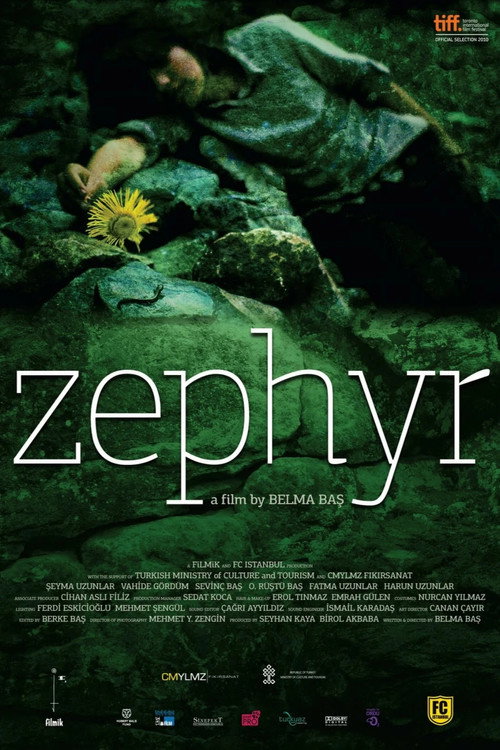 Movie poster for Zephyr (2010)