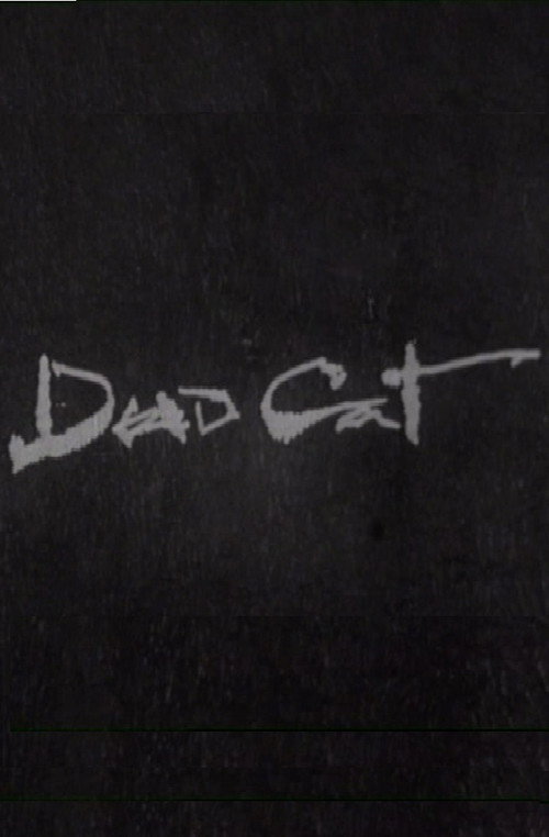Movie poster for Dead Cat (1989)