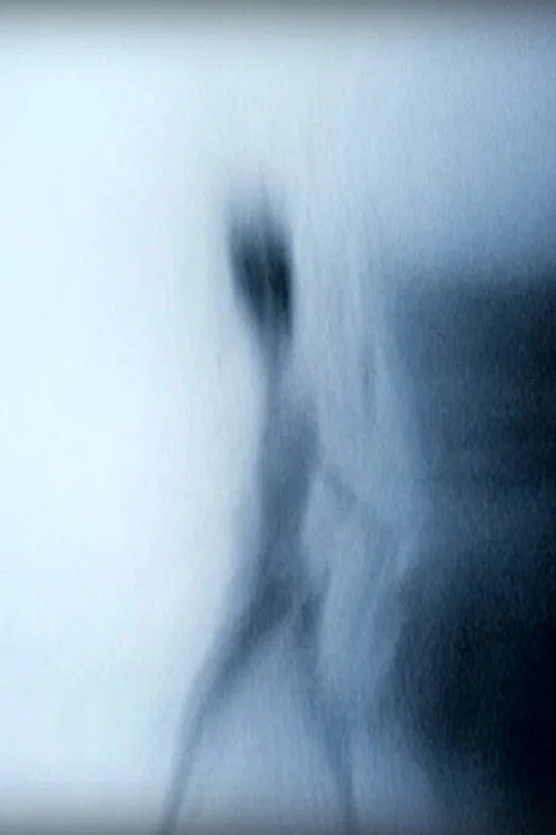 Movie poster for White (2013)