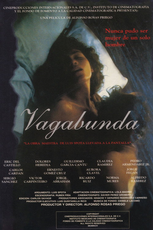 Movie poster for Vagabunda (1994)
