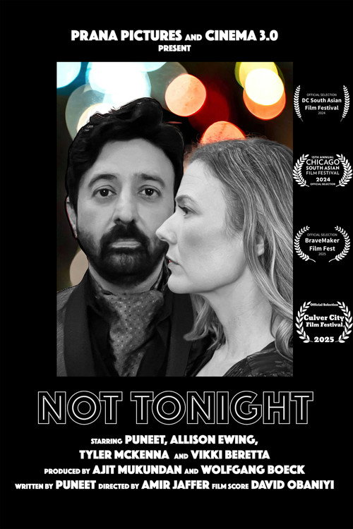 Movie poster for Not Tonight