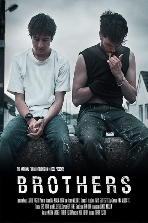 Movie poster for Brothers (2015)