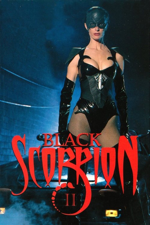 Movie poster for Black Scorpion II: Aftershock (1997)