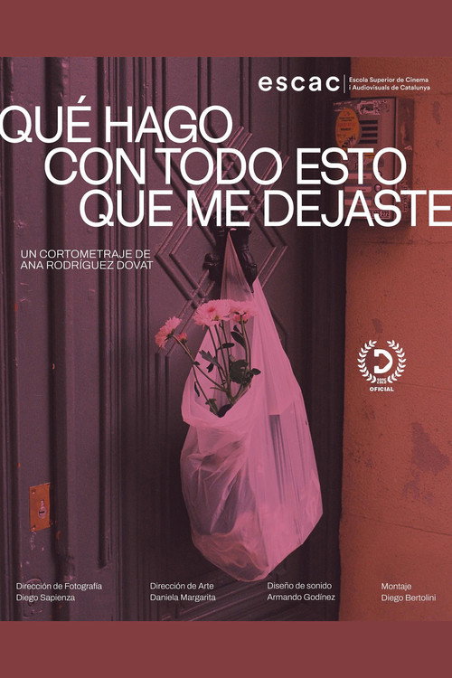 Movie poster for Qué hago con todo esto que me dejaste (2025)
