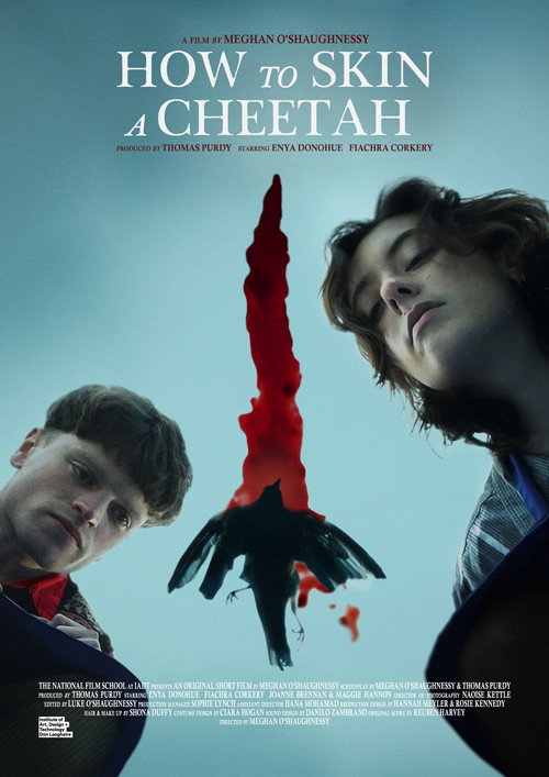 Movie poster for How to Skin a Cheetah (2024)