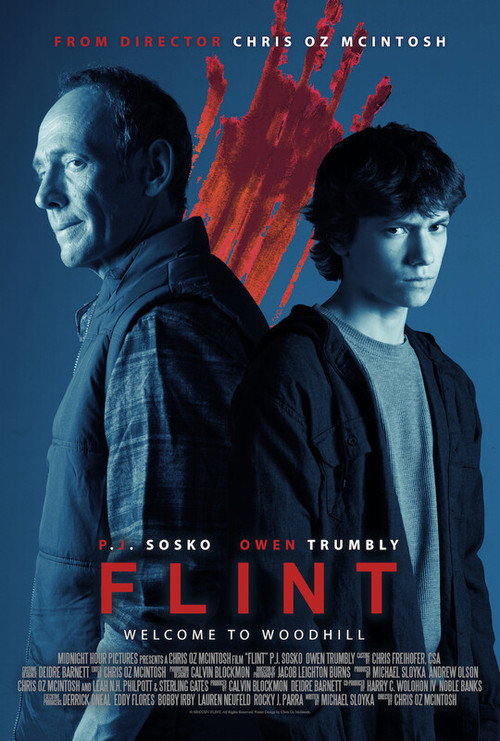 Movie poster for Flint (2024)