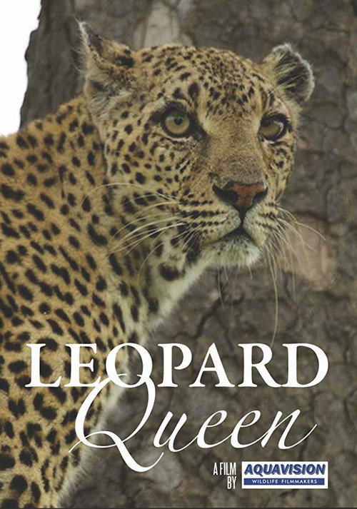 Movie poster for Leopard Queen (2010)