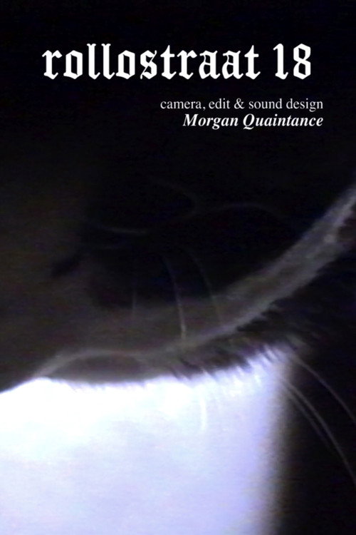 Movie poster for Rollostraat 18 (2022)
