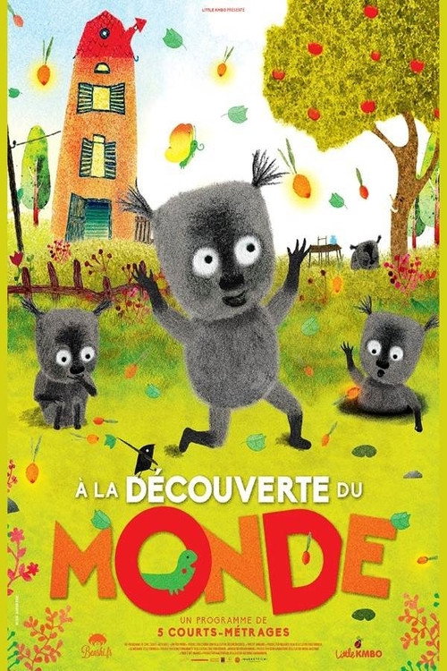 Movie poster for Discovering the World (2017)