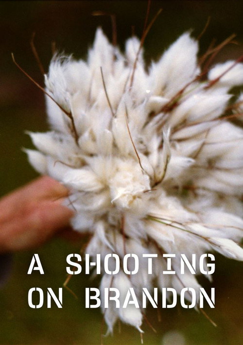 Movie poster for A Shooting on Brandon