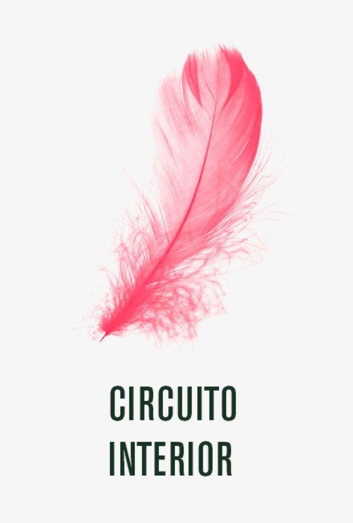 Movie poster for Circuito interior (1999)