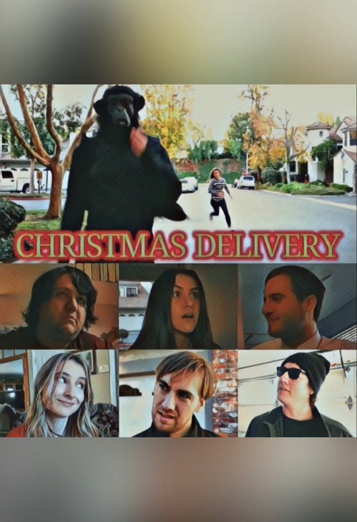 Movie poster for Christmas Delivery (2020)