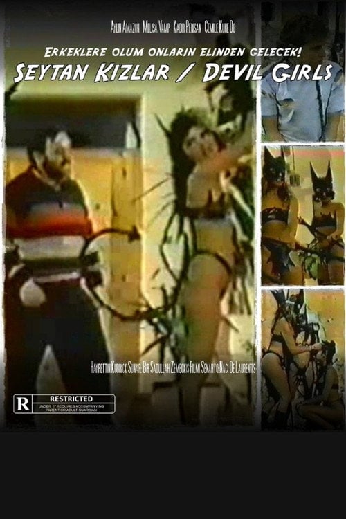 Movie poster for Devil Girls (1987)