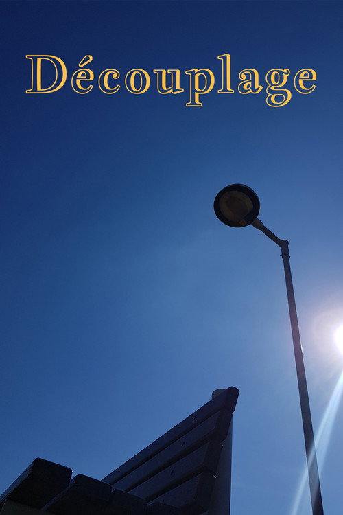Movie poster for Découplage (2021)
