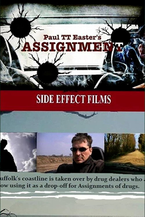 Movie poster for Assignment (2013)