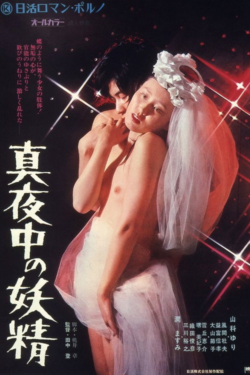 Movie poster for Midnight Fairy (1973)