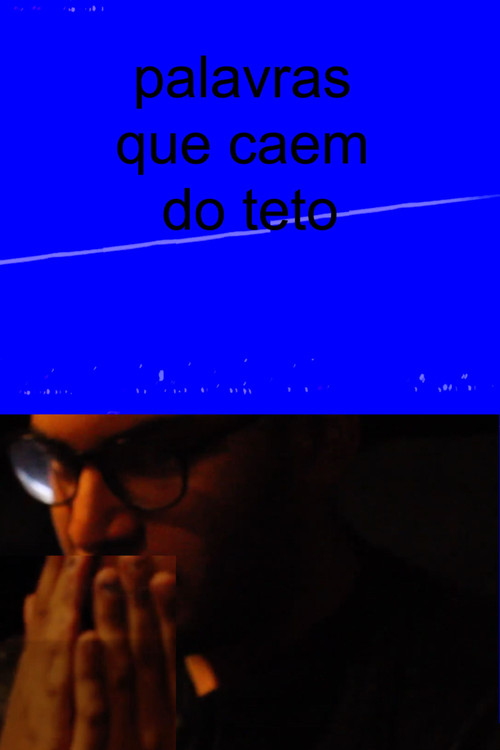 Movie poster for Palavras que caem do teto (2023)