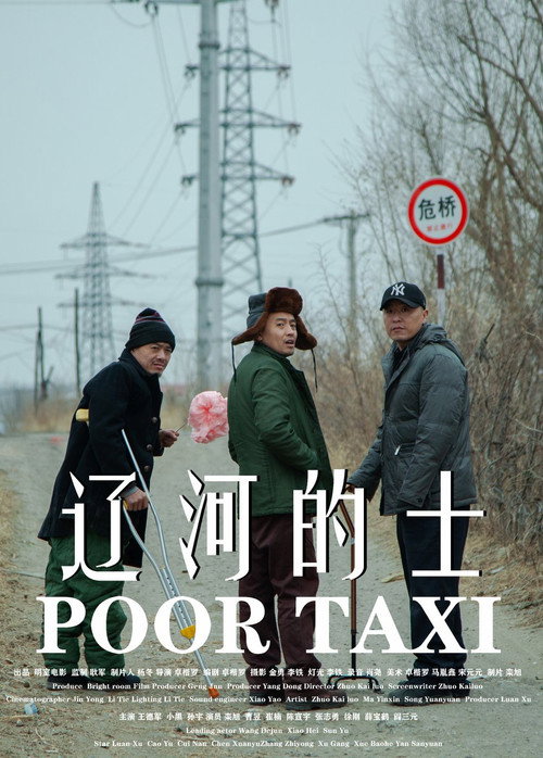 Movie poster for Poor Taxi (2025)