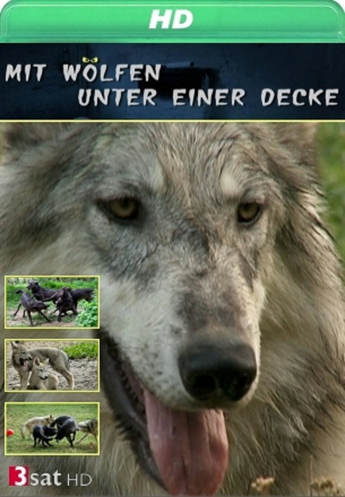 Series poster for Mit Wölfen unter einer Decke (2011)
