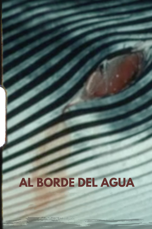 Movie poster for Beside the Water (2023)
