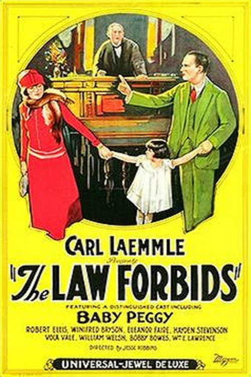 Movie poster for The Law Forbids (1924)