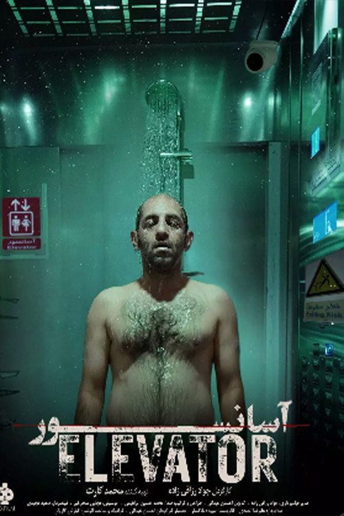 Movie poster for Elevator (1995)