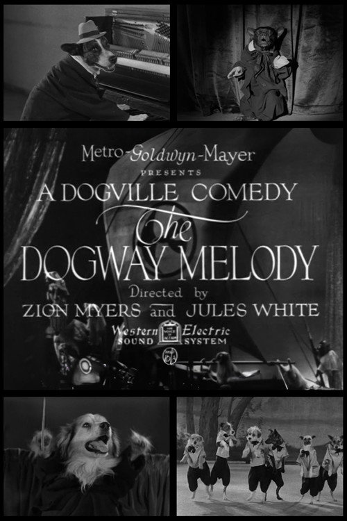 Movie poster for The Dogway Melody (1930)