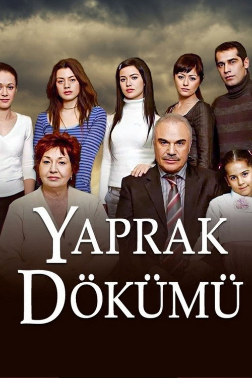 Series poster for Falling Leaves (2006)