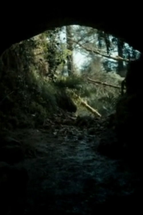 Movie poster for The Beast (2013)