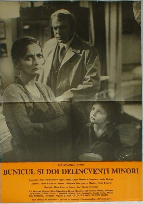 Movie poster for Grandpa and Two Young Offenders (1976)