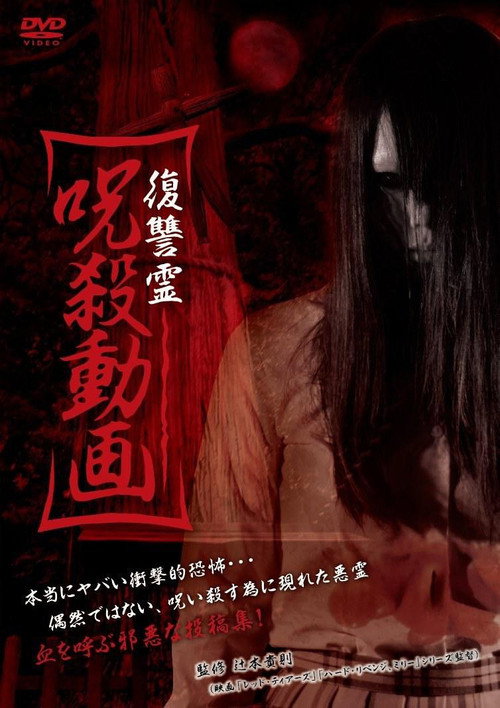 Movie poster for Vengeful Spirit: Cursed Killing Video (2013)