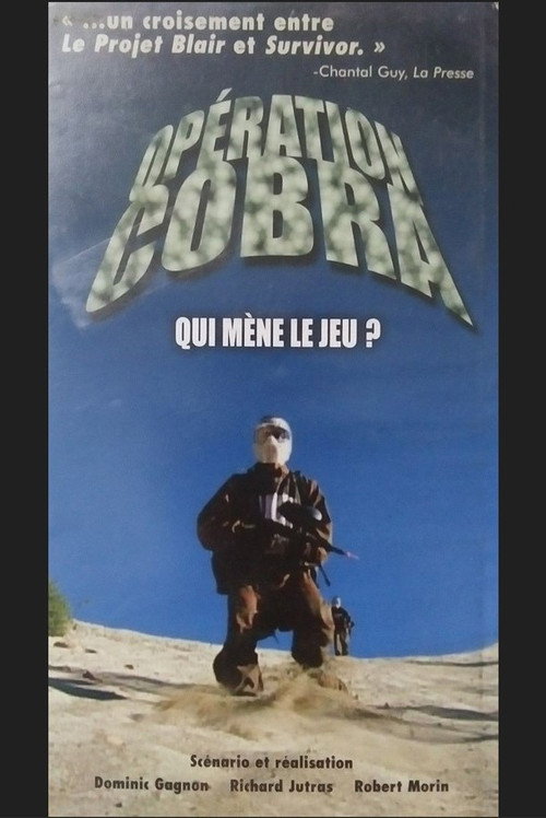 Movie poster for Operation Cobra (2001)