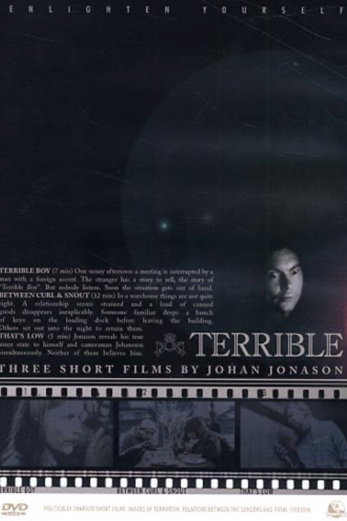 Movie poster for Terrible