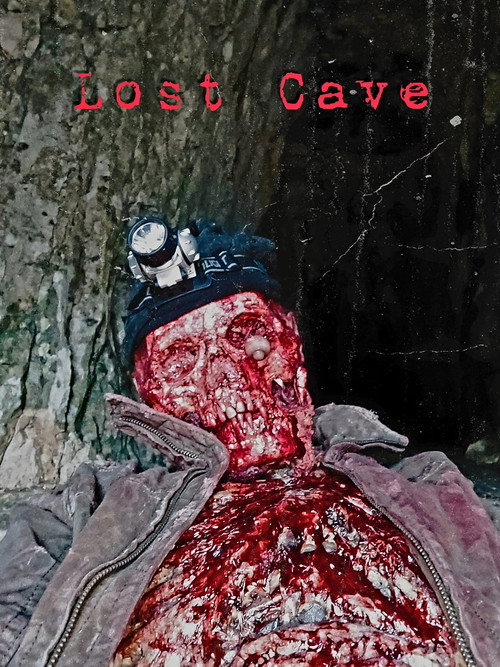 Movie poster for Lost Cave (2023)