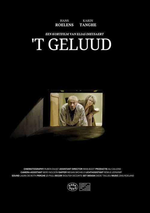 Movie poster for 't Geluud (2025)